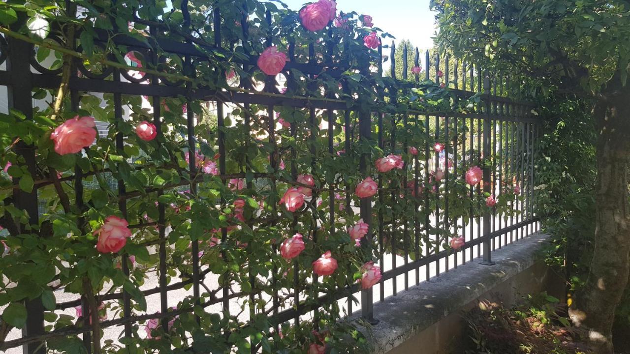Appartamento Modenese 8 بسكييرا ديل غاردا المظهر الخارجي الصورة